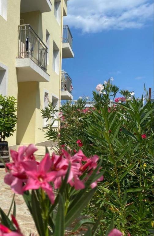 Byala Friendy Sea Apartaments מראה חיצוני תמונה